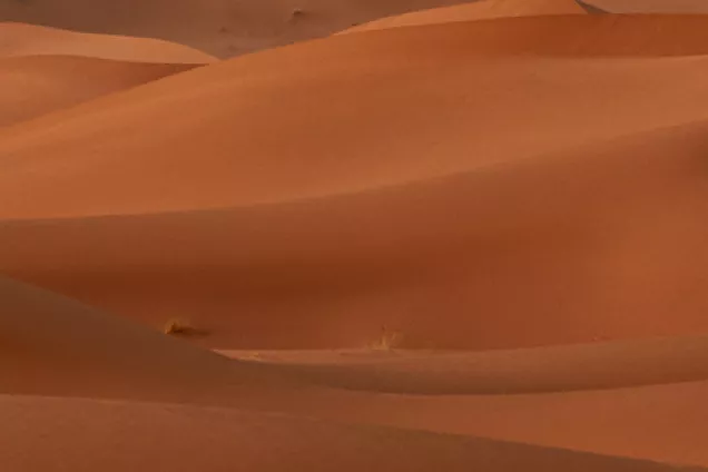Photo showing an orange desert with sand dunes.