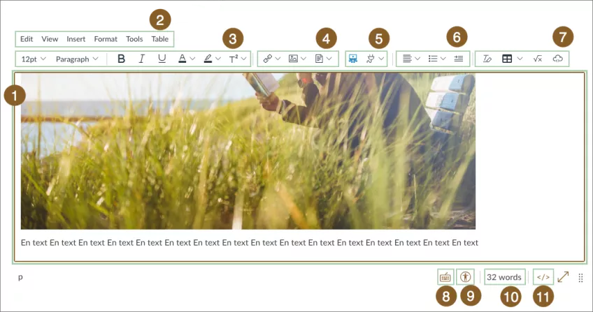 An image showing the new text editor 