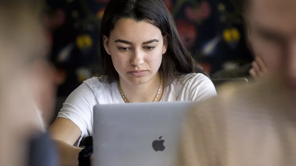 Foto som visar en student som sitter framför en bärbar dator.