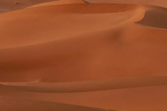 Foto som visar en öken med böljande sanddyner.