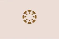 Bild som visar ikon för canvas